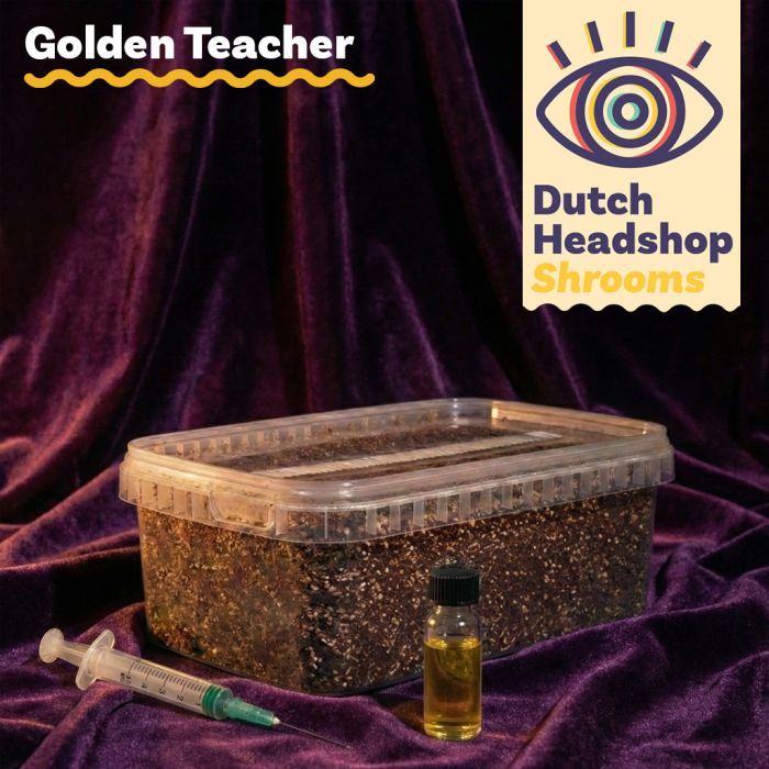 Golden Teacher Liquid Culture Bundel met Substraat main product photo