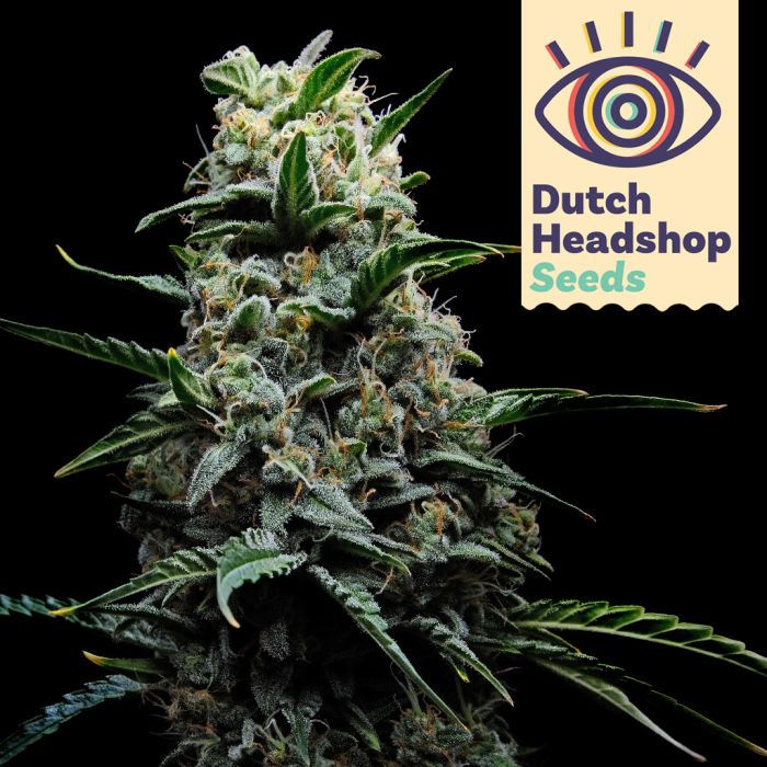 Fast Bruce Banner (Huismerk) main product photo