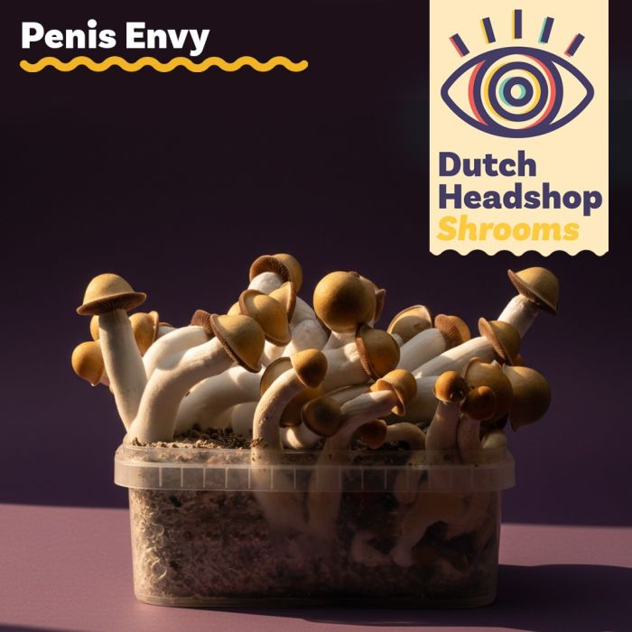 Paddo Kweekset Penis Envy 1200cc (Huismerk) main product photo