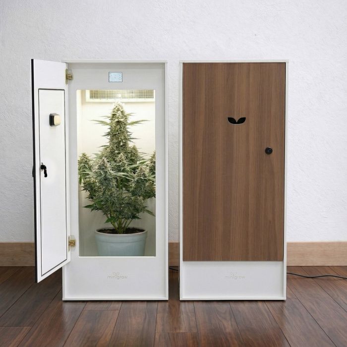 MiniGrow Box Kweekkast One Large main product photo