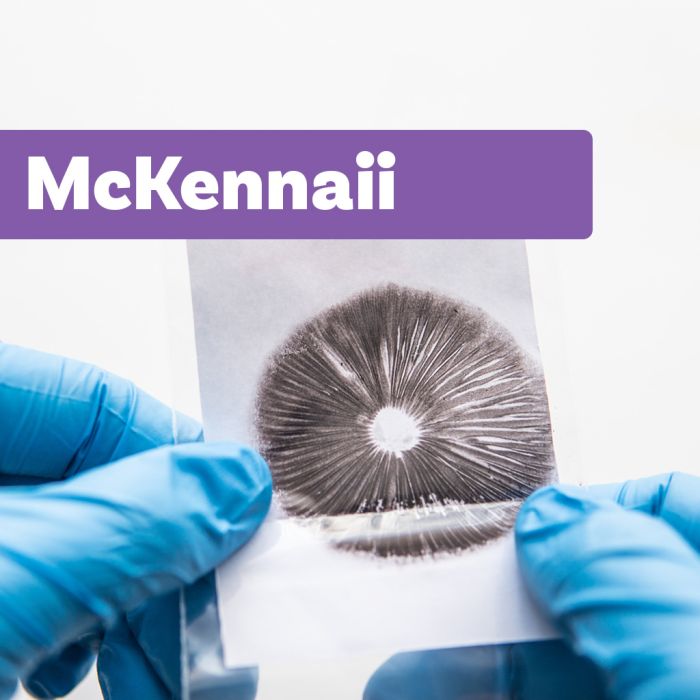 Paddo Sporenprint | McKennaii main product photo