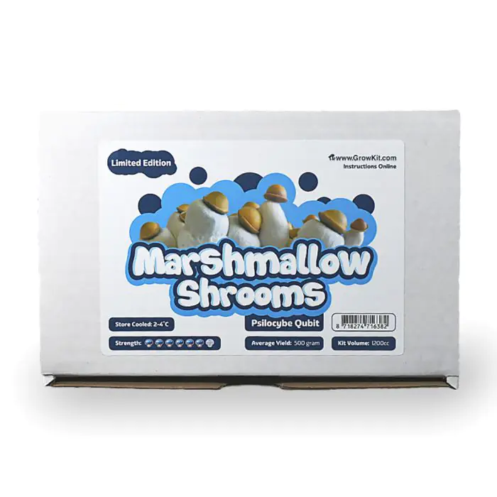 Paddo Kweekset Marshmallow (Ready-to-Grow Growkit) - 1200 cc