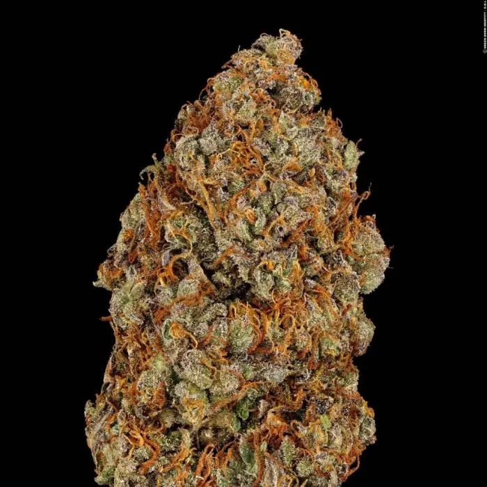 Apricot Candy (Paradise Seeds)