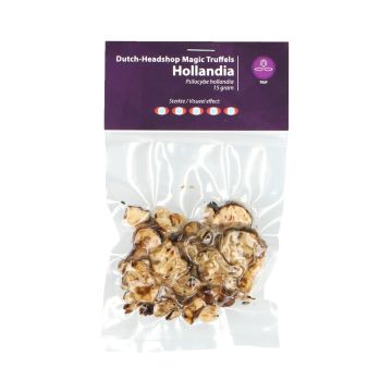 Magic Truffels Hollandia (Huismerk) 15 gram