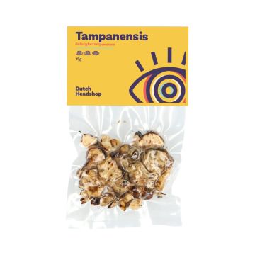 Magic Truffels Tampanensis (Huismerk) 15 gram