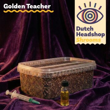 Golden Teacher Liquid Culture Bundel met Substraat
