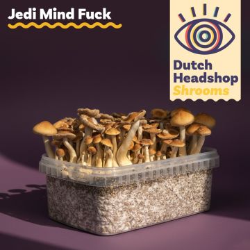 Paddo Kweekset Jedi Mind Fuck 1200cc (Huismerk)