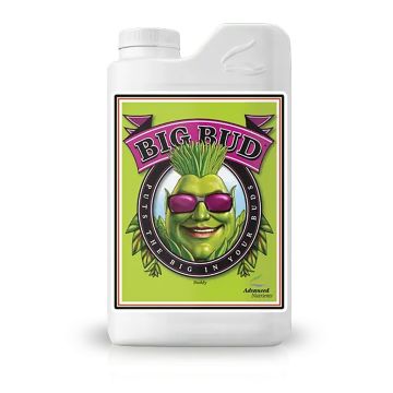 Big Bud | Bloeistimulator (Advanced Nutrients) 250 ml