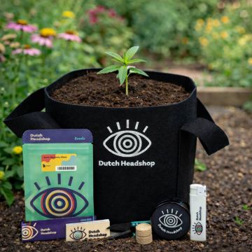 Dutch-Headshop All-in-One Autoflower Growbucket Wiet Kweken
