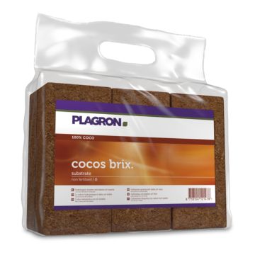 Cocos Brix (Plagron) 6 stuks
