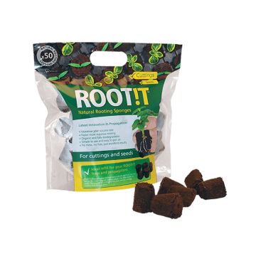 Natuurlijke Wortelsponzen (ROOT!T) 50 stuks 