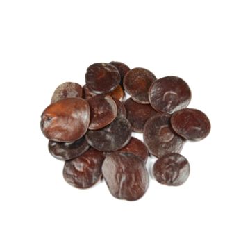 Yopo zaden [Anadenanthera Peregrina] 5 gram