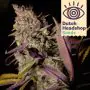 Auto Alaskan Thunderfuck (Huismerk)