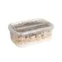 Paddo Kweekset Marshmallow (Ready-to-Grow Growkit) - 1200 cc