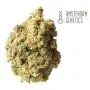AK-020 Autoflower (Amsterdam Genetics) 3 zaden