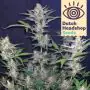Auto White Widow (Huismerk)