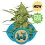 Fast Eddy Automatic CBD (Royal Queen Seeds) 5 zaden