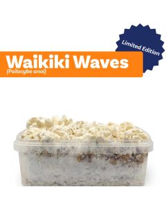Paddo Kweekset Waikiki Waves (Ready-to-Grow Growkit) - 1200 cc