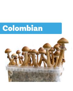 Paddo Kweekset Colombian (Ready-to-Grow Growkit)