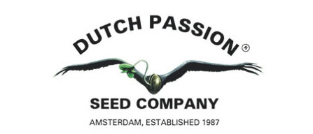 Dutch Passion zaden