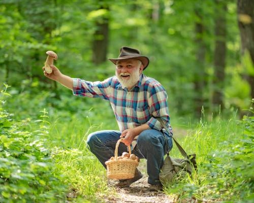 man met cowboyhoed in het bos houdt een paddenstoel vast.