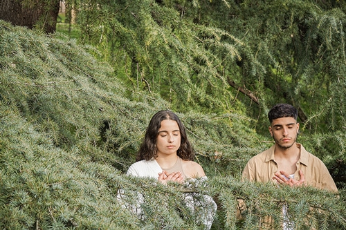 meditatie in het bos