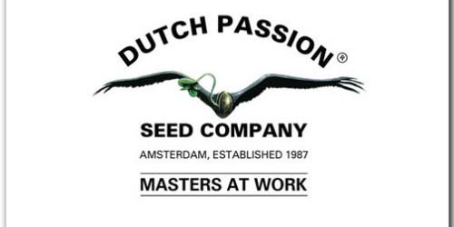 Dutch Passion Zaden logo Dutch Headshop