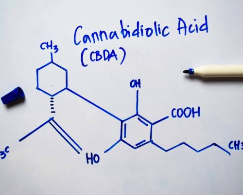 CBDA Cannabidiolic Acid